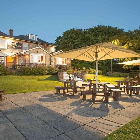 The Wight Mouse Inn Chale Extérieur photo